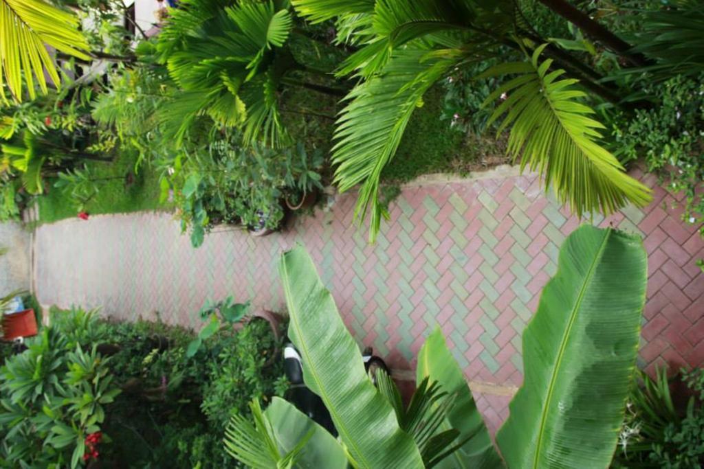 Jasmine Family Hostel Siem Reap Exterior foto