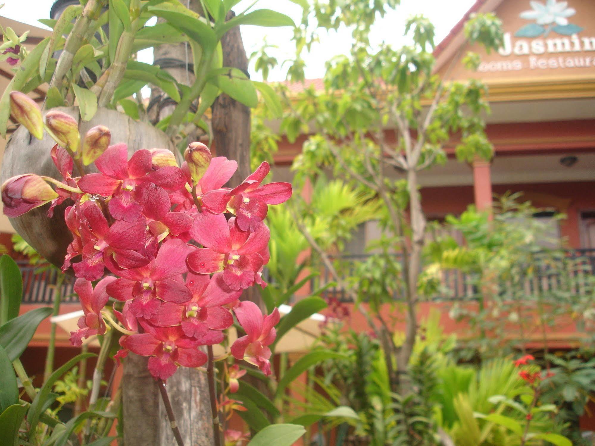 Jasmine Family Hostel Siem Reap Exterior foto