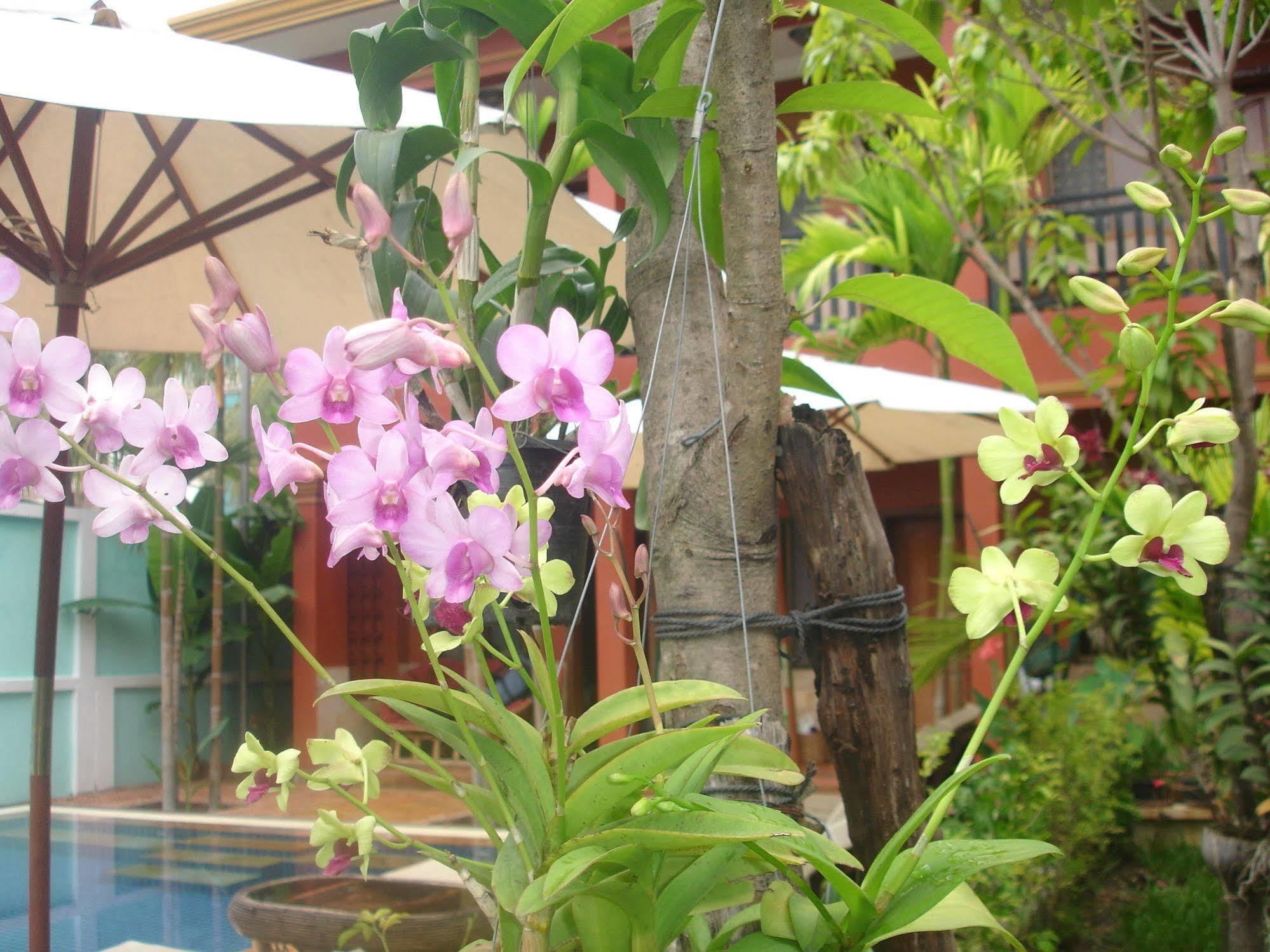 Jasmine Family Hostel Siem Reap Exterior foto